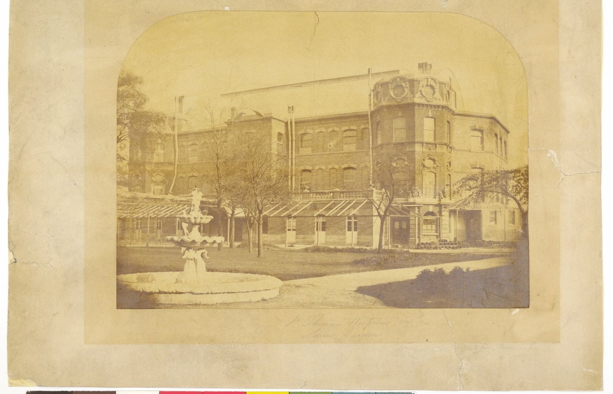 Hôpital St. Thomas, Surrey Gardens - English Photographer