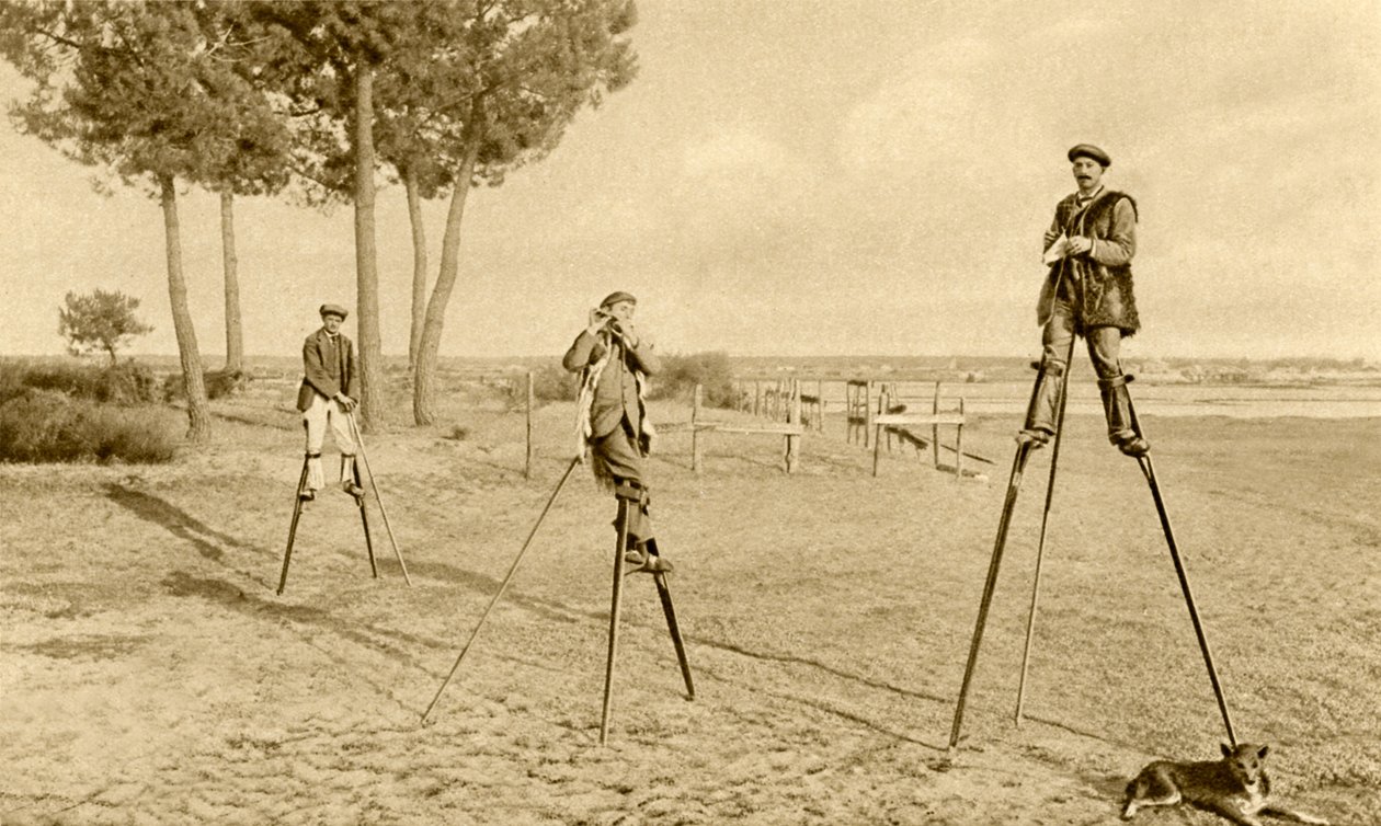 Echasses (photo n/b) - English Photographer