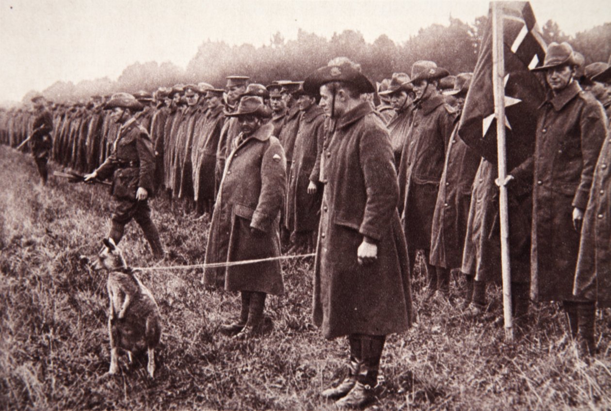 La revue des Anzacs sur Salisbury Plain : une mascotte australienne, illustration de The Illustrated War News, 27 septembre 1916 - English Photographer
