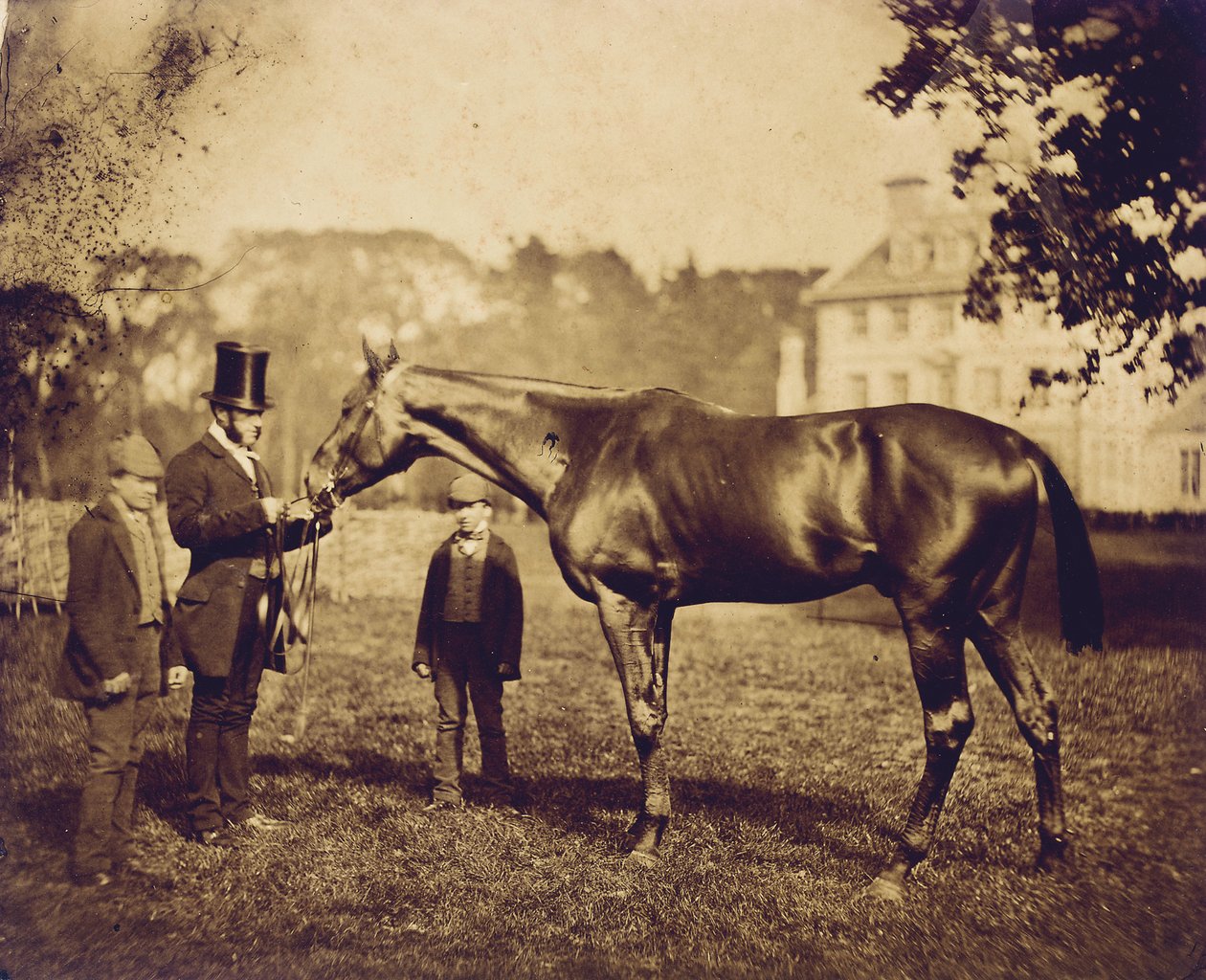 Wild Dayrell, vainqueur du Derby en 1856 - English Photographer