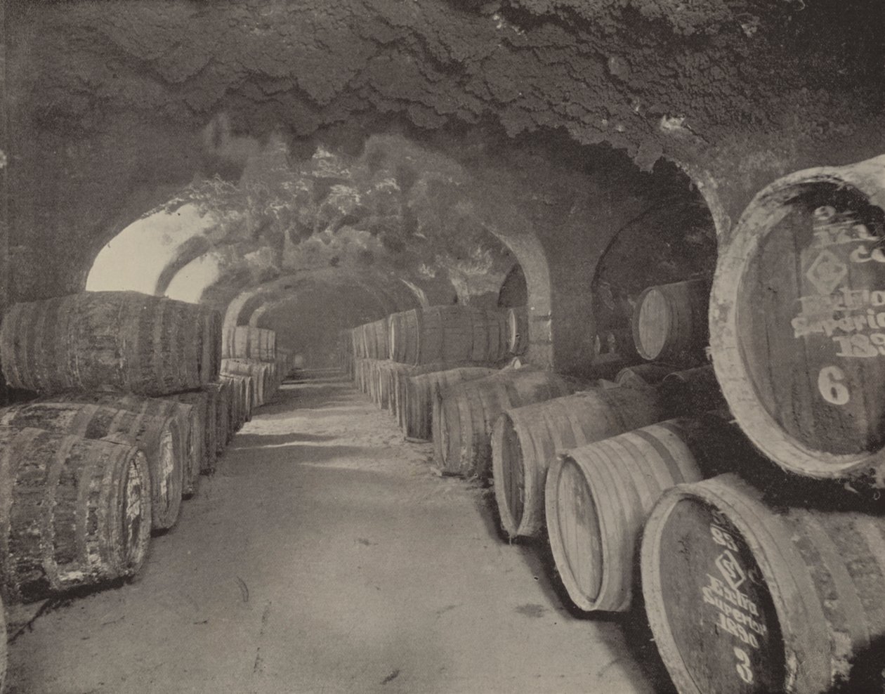 Chambres à vin (photo n/b) - English Photographer