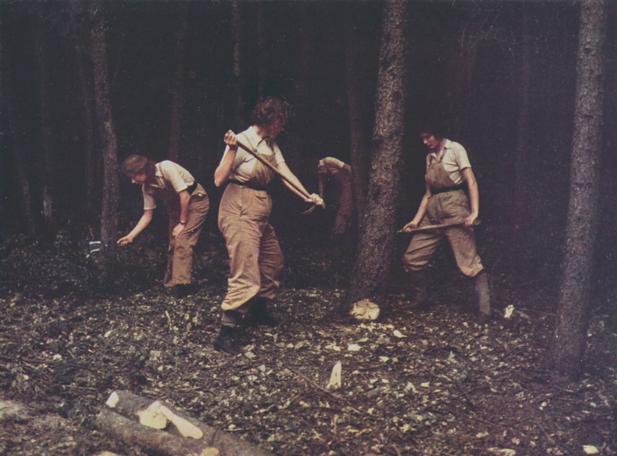 Travailleuses du British Timber Corps abattant des arbres, Seconde Guerre mondiale (photo couleur) - English Photographer