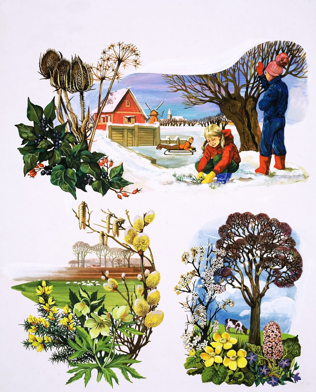 Un calendrier des plantes, illustration de "Il était une fois". - English School