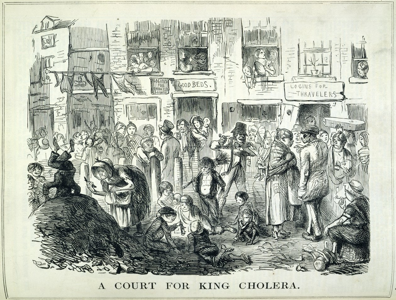Une cour pour le roi Choléra, illustration de 
