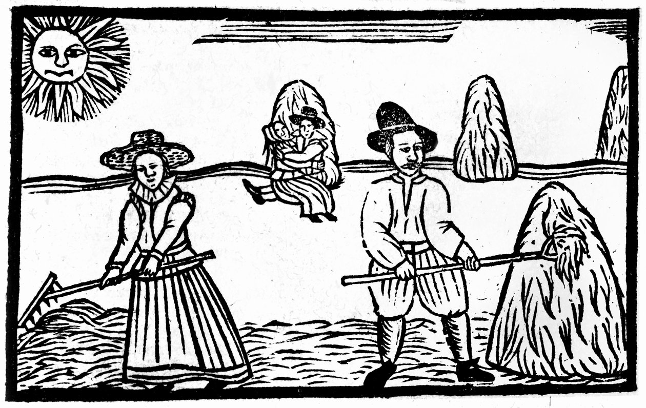 Une scène de récolte, une illustration de 