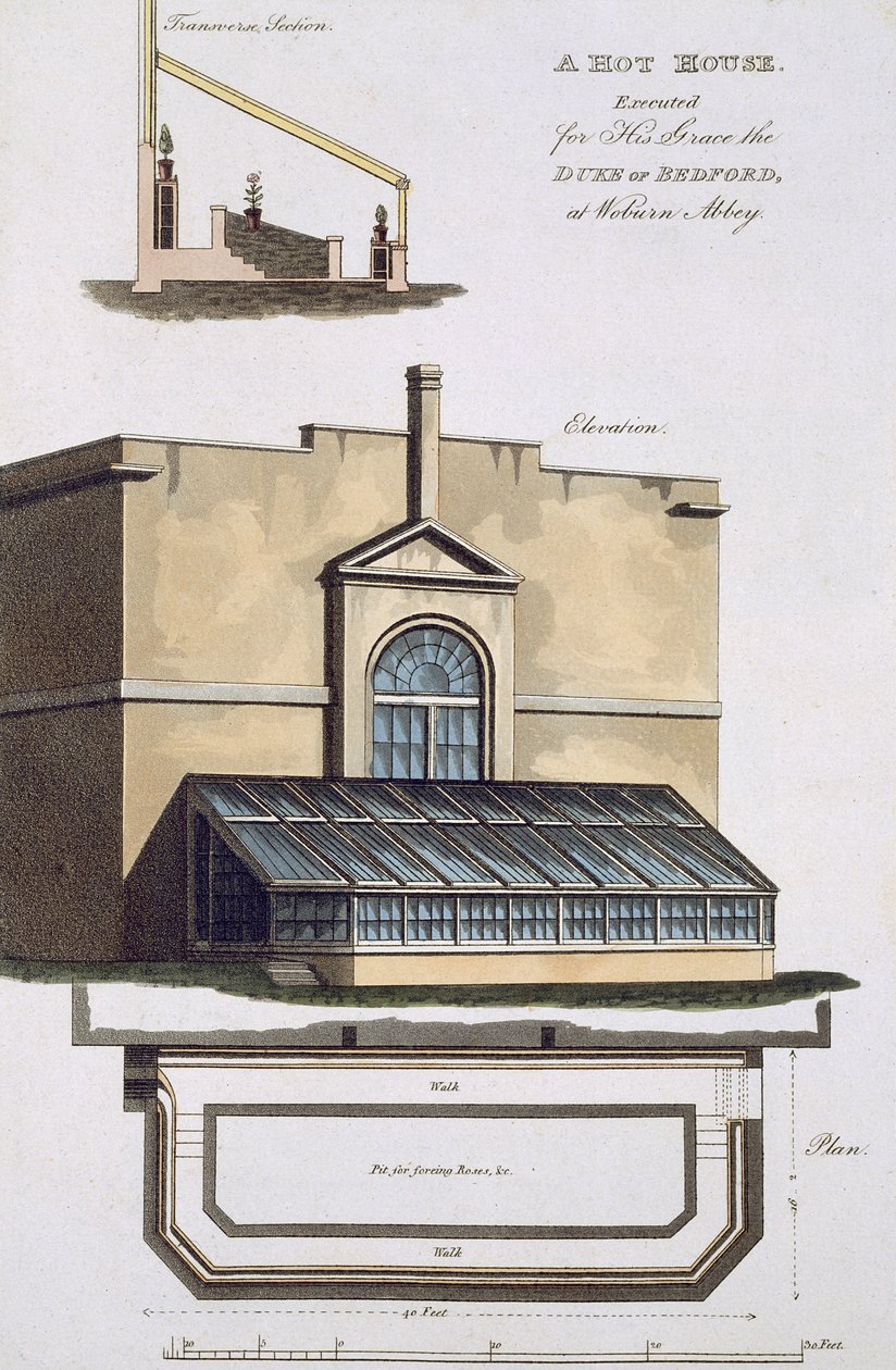 Une serre chaude exécutée pour son Altesse le Duc de Bedford à Woburn Abbey, 1806 - English School
