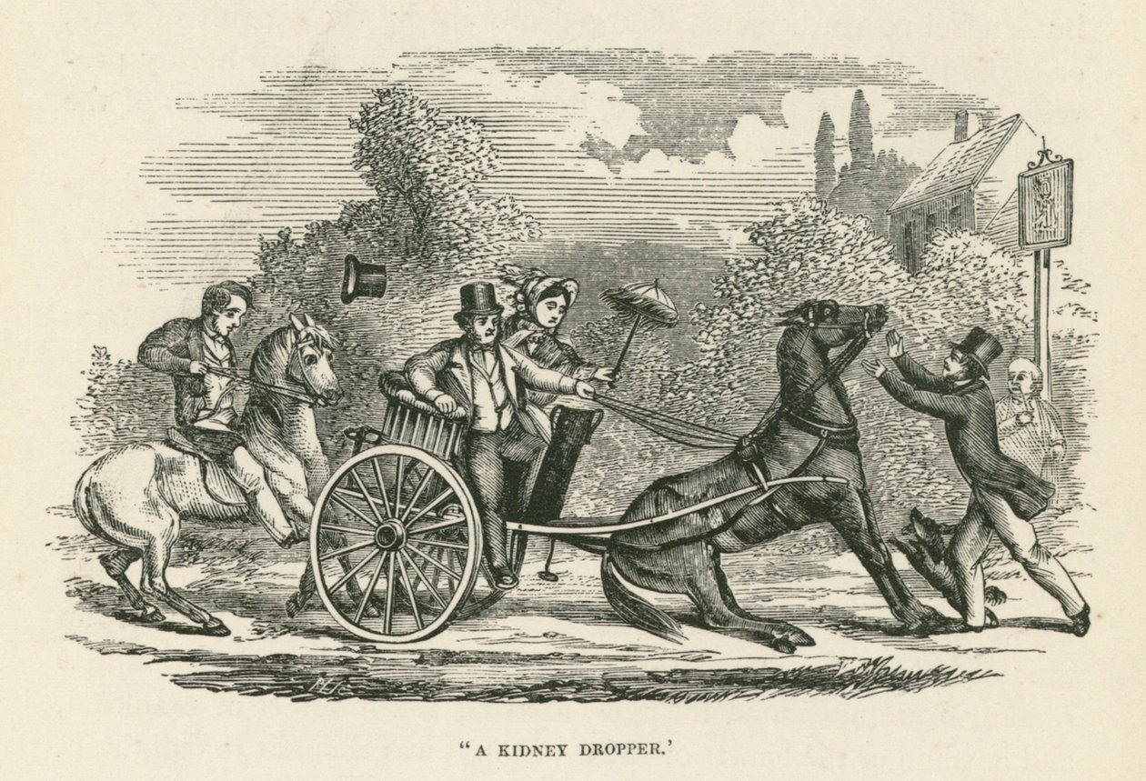 "Un compte-gouttes de rein" (gravure) - English School
