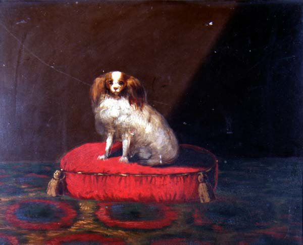 Un épagneul King Charles sur un coussin rouge, école provinciale - English School
