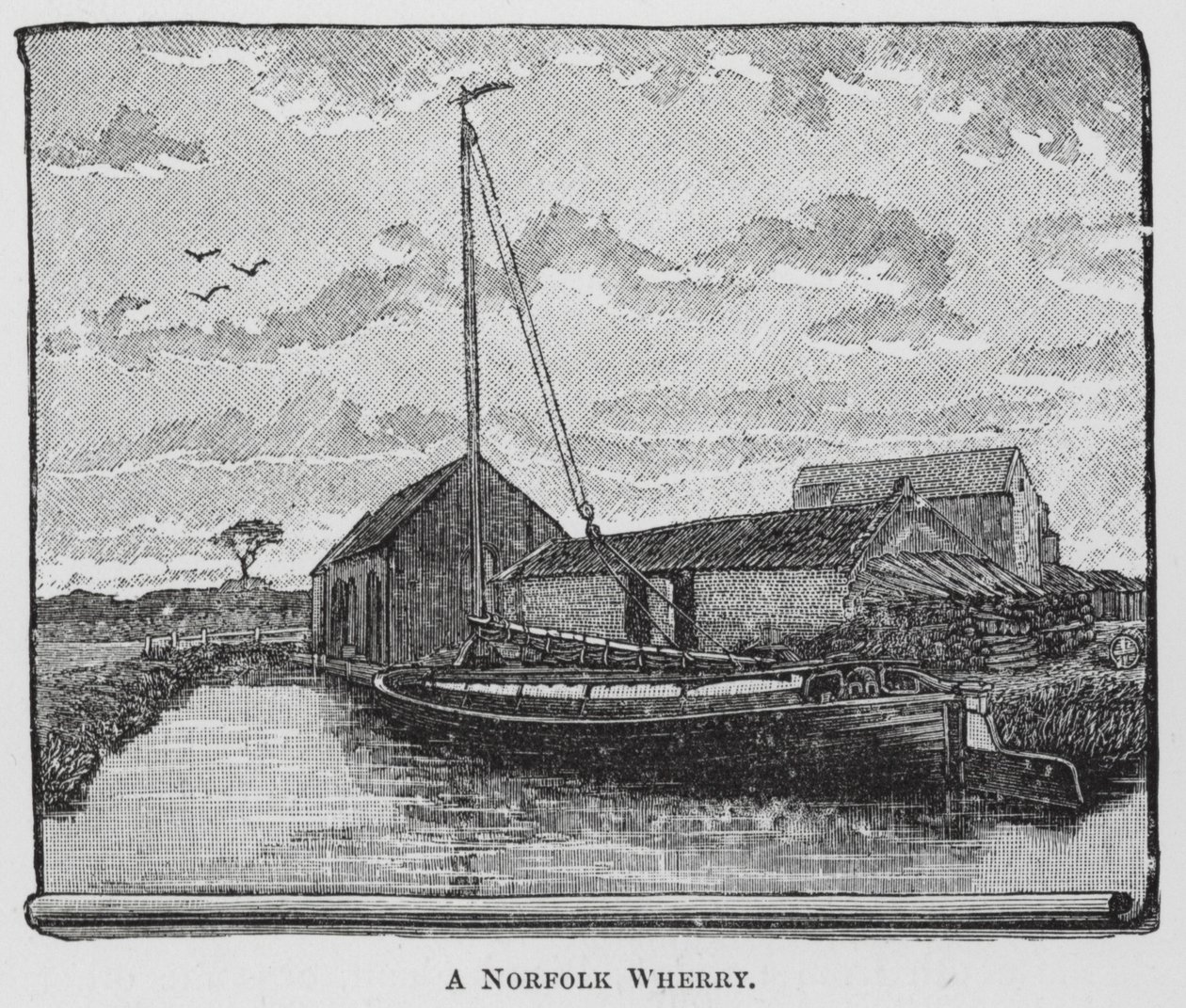 Un Wherry de Norfolk (gravure) - English School