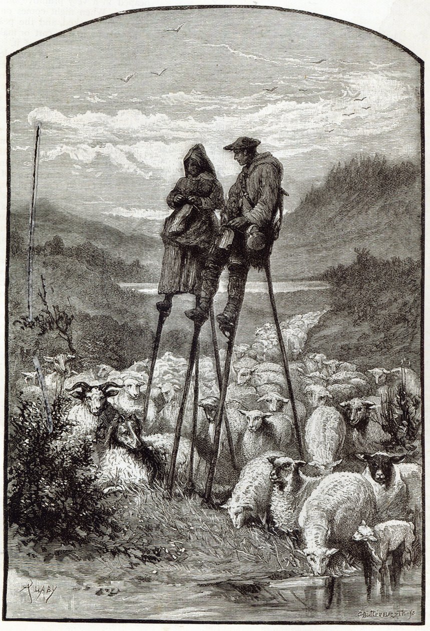 Une pastorale dans les Landes, de 