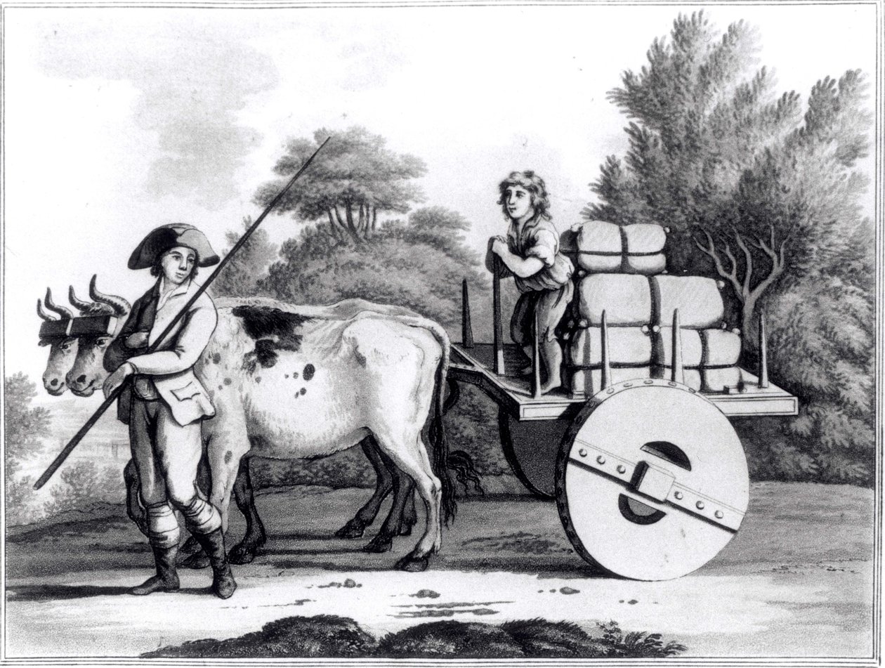Une ferme portugaise, de A General View of the State of Portugal par James Murphy, publié en 1797 - English School