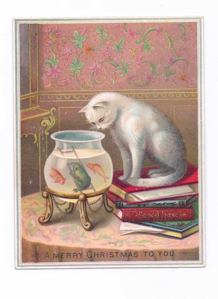 Carte de Noël victorienne représentant un chat assis sur une pile de livres et regardant dans le bocal d