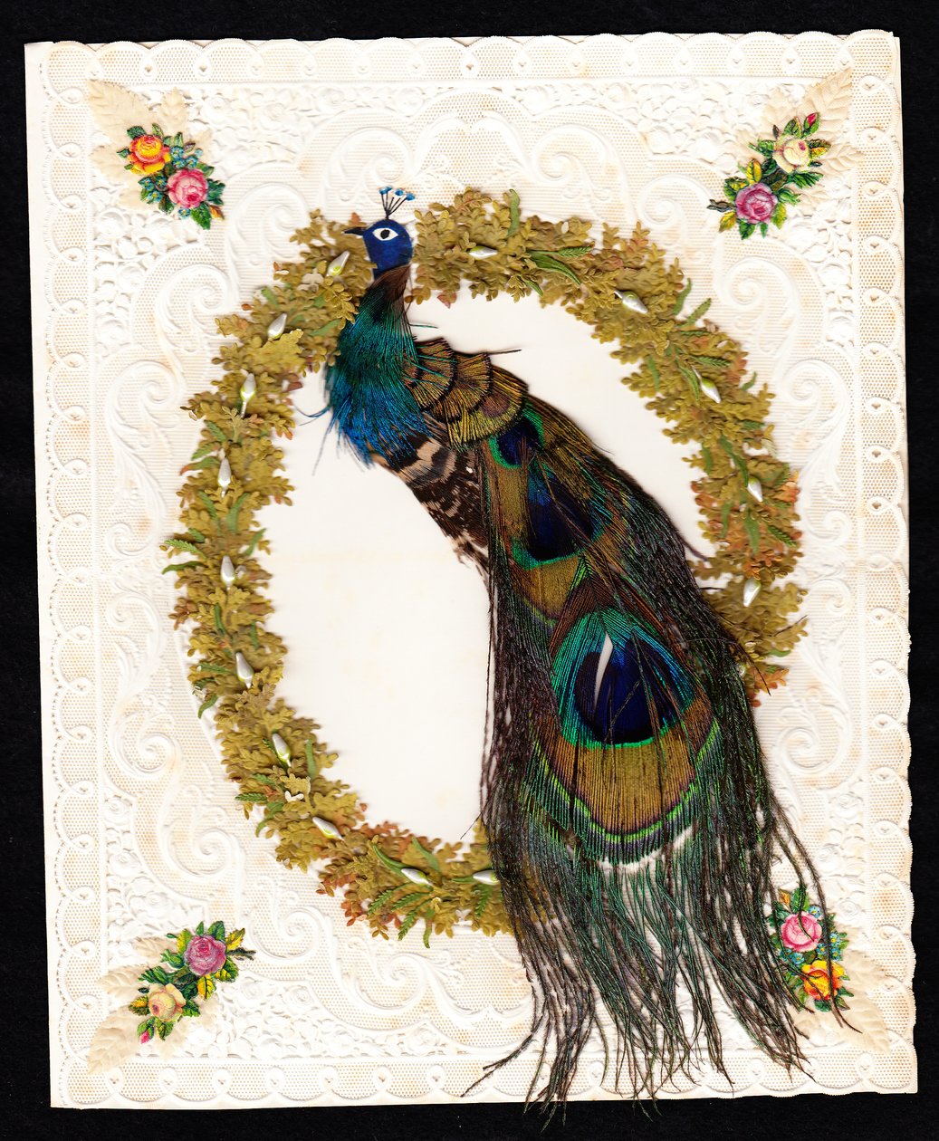 Carte de Saint-Valentin victorienne en dentelle de papier représentant un paon avec de véritables plumes de paon, vers 1870 (lithographie en couleur) - English School