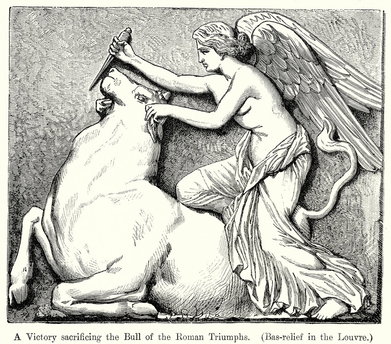Une Victoire sacrifiant le Taureau des Triomphes romains. (Bas-Relief du Louvre) (gravure) - English School