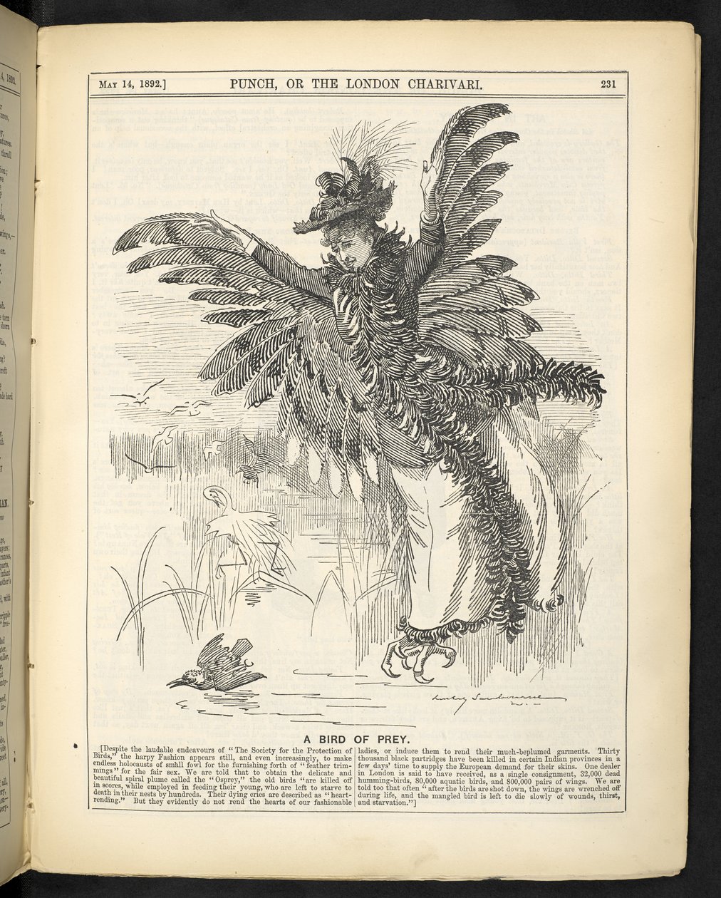 Un oiseau de proie, de 