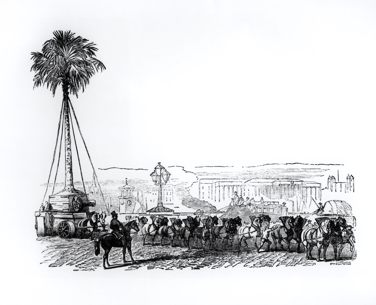 Un palmier transporté à Hyde Park pour la Grande Exposition, Londres, 1851 - English School