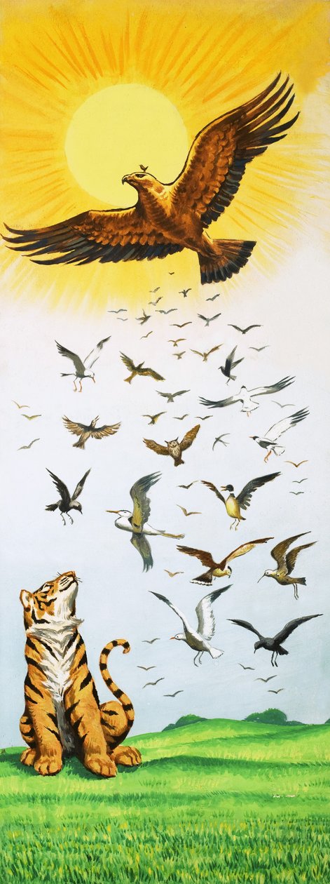 Scène du conte populaire Le roi des oiseaux - English School