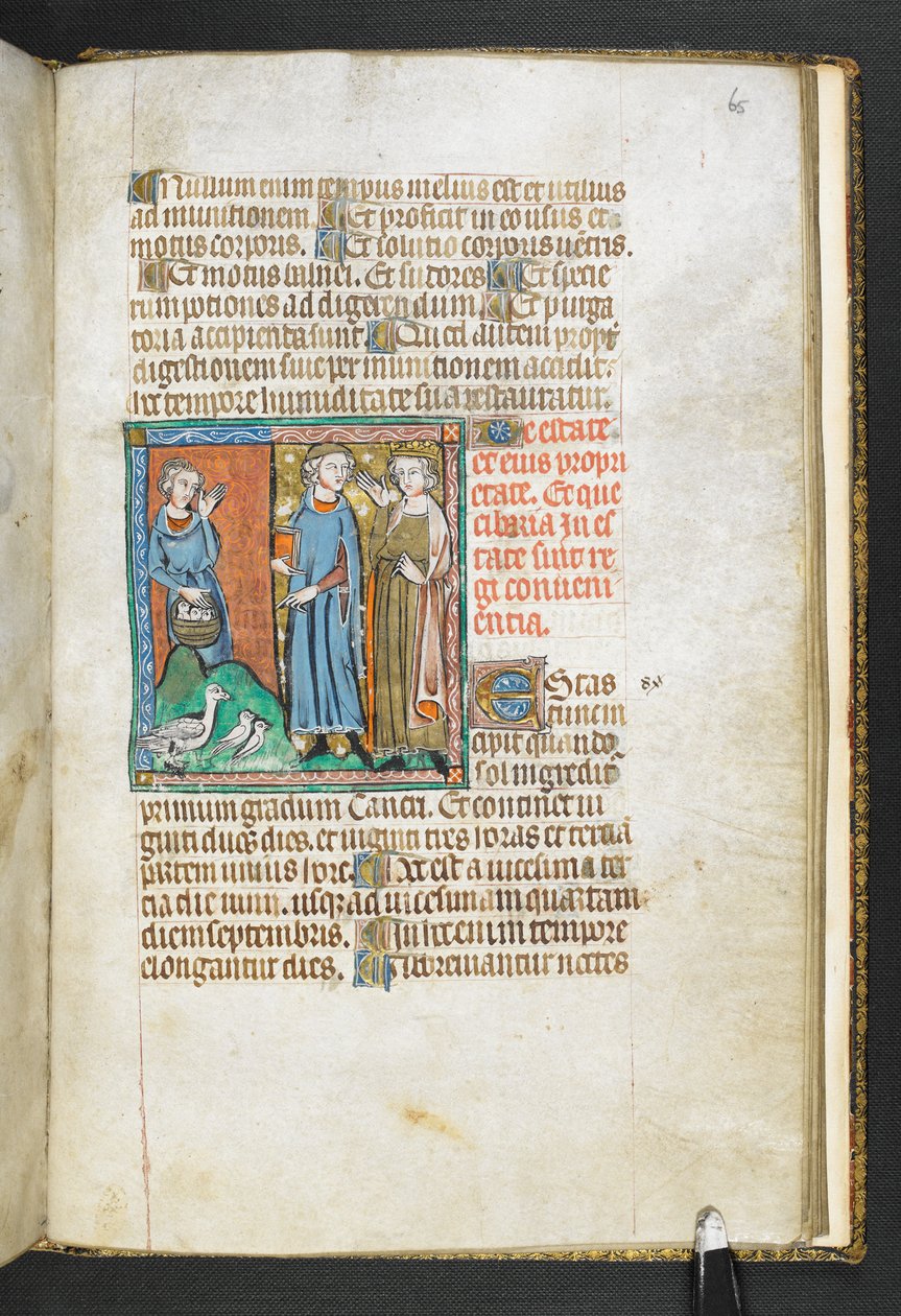 Aristote pointant des oiseaux apportés au roi, de Secretum Secretorum, c.1326-27 (vélin) - English School