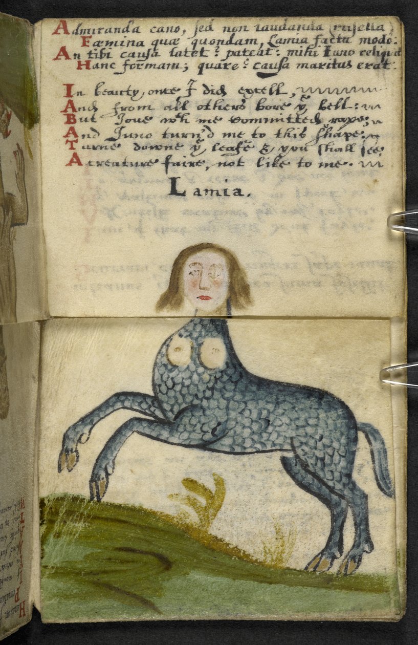 Livre de chasse - English School