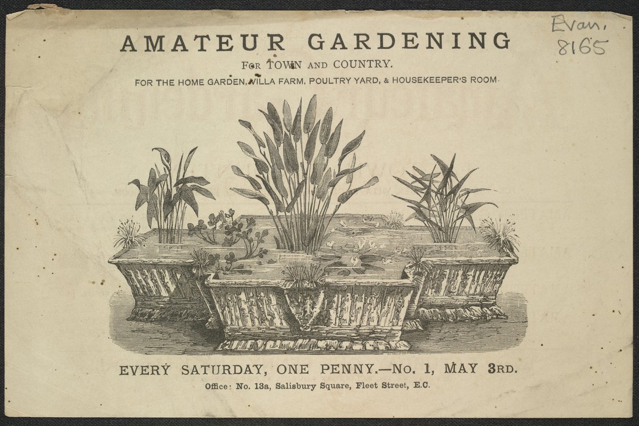 Publicité pour le périodique Amateur Gardening - English School