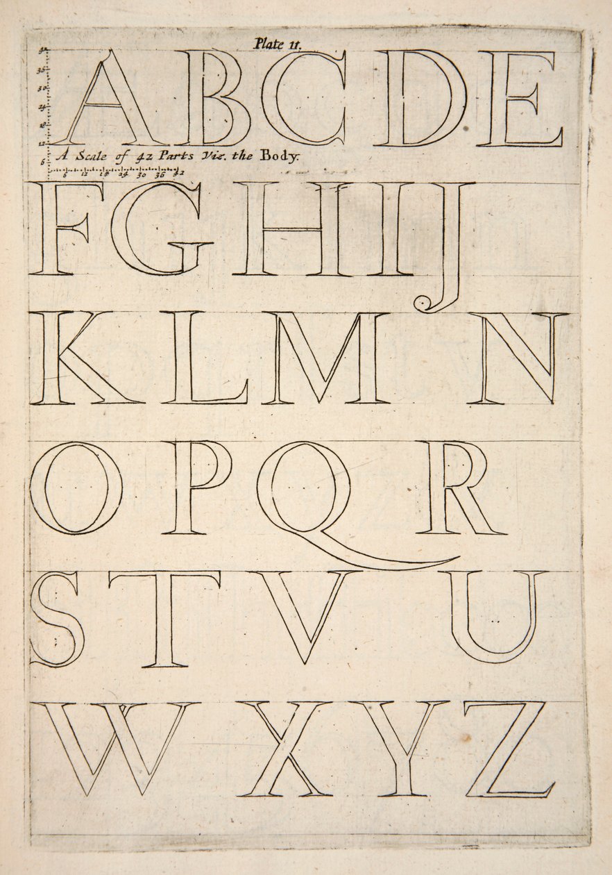 Feuille de spécimen d