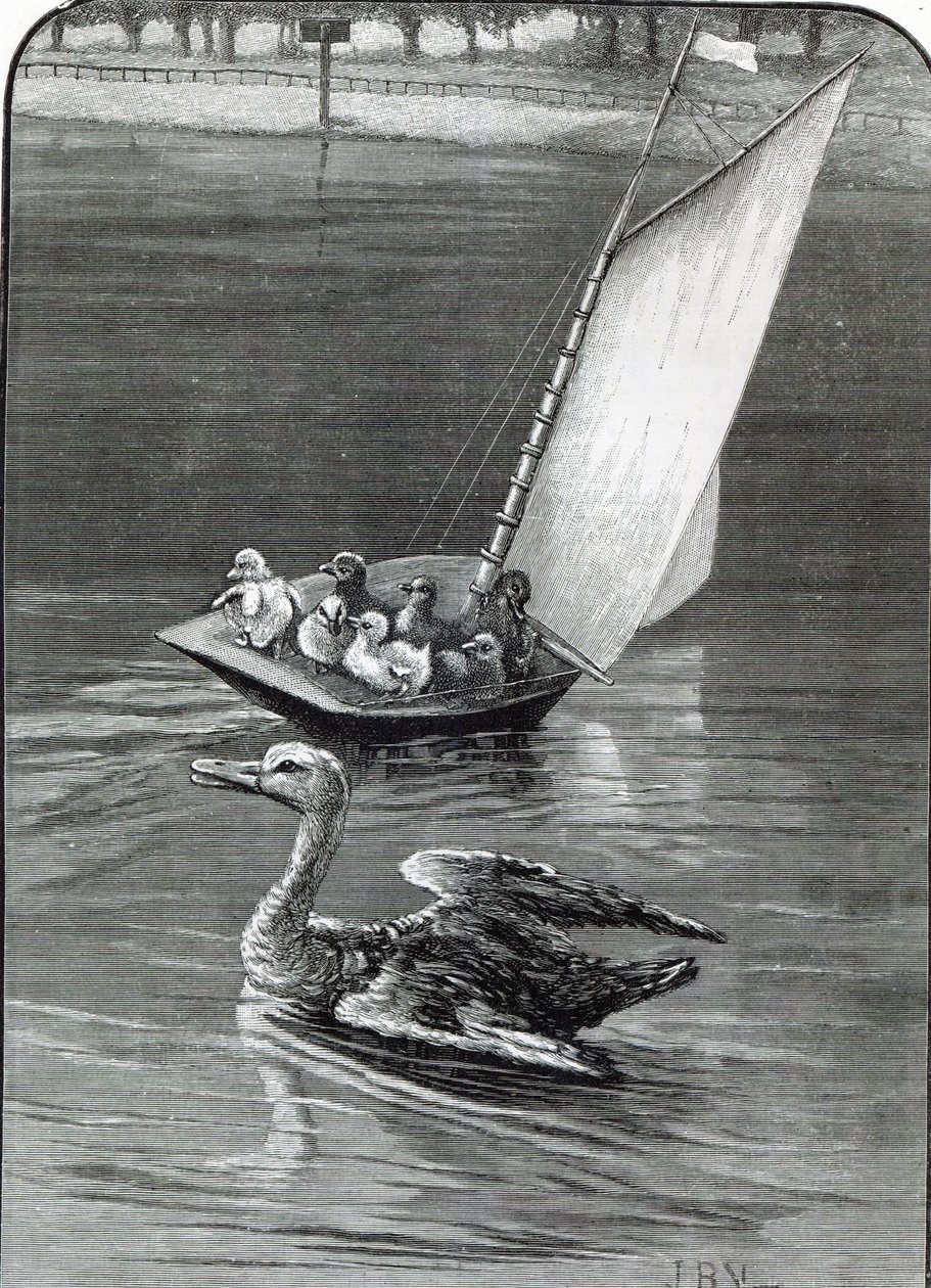 Une Mère Anxieuse, un incident vu et dessiné au Round Pond, Kensington, de 