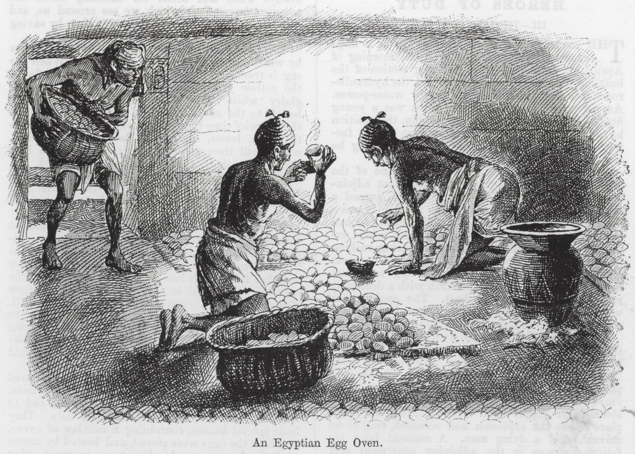 Four à œufs égyptien (gravure) - English School