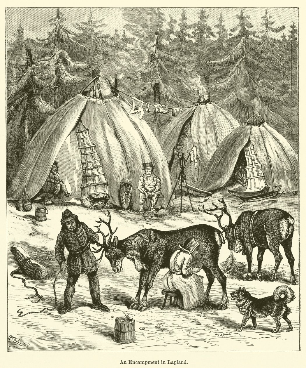 Un campement en Laponie (gravure) - English School