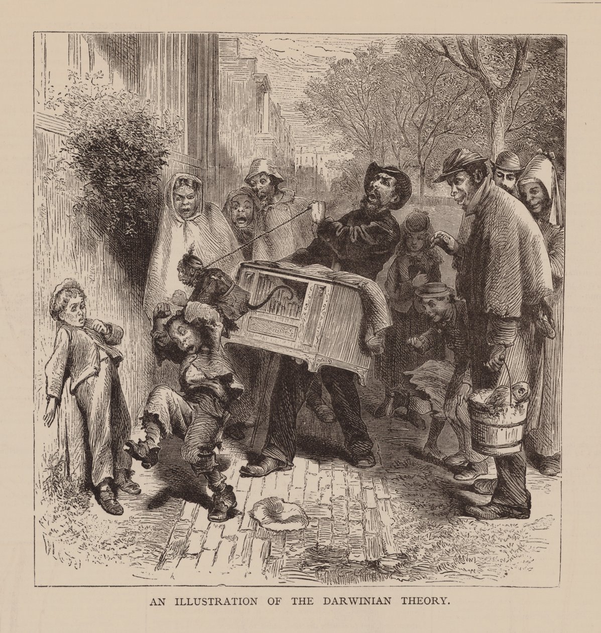 Illustration de la théorie darwinienne (gravure) - English School
