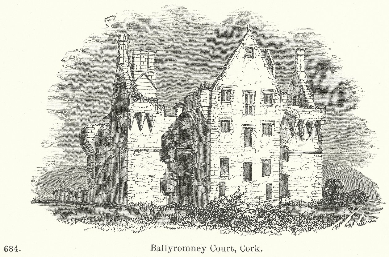 Ballyromney Court, Cork (gravure) - English School