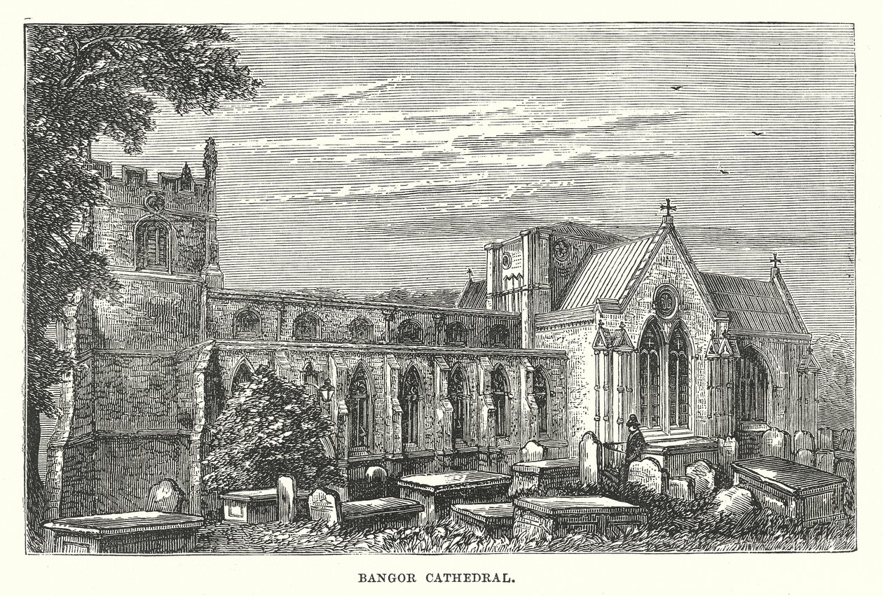Cathédrale de Bangor (gravure) - English School
