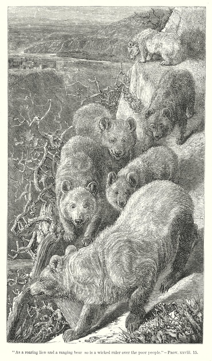 Ours (gravure) - English School