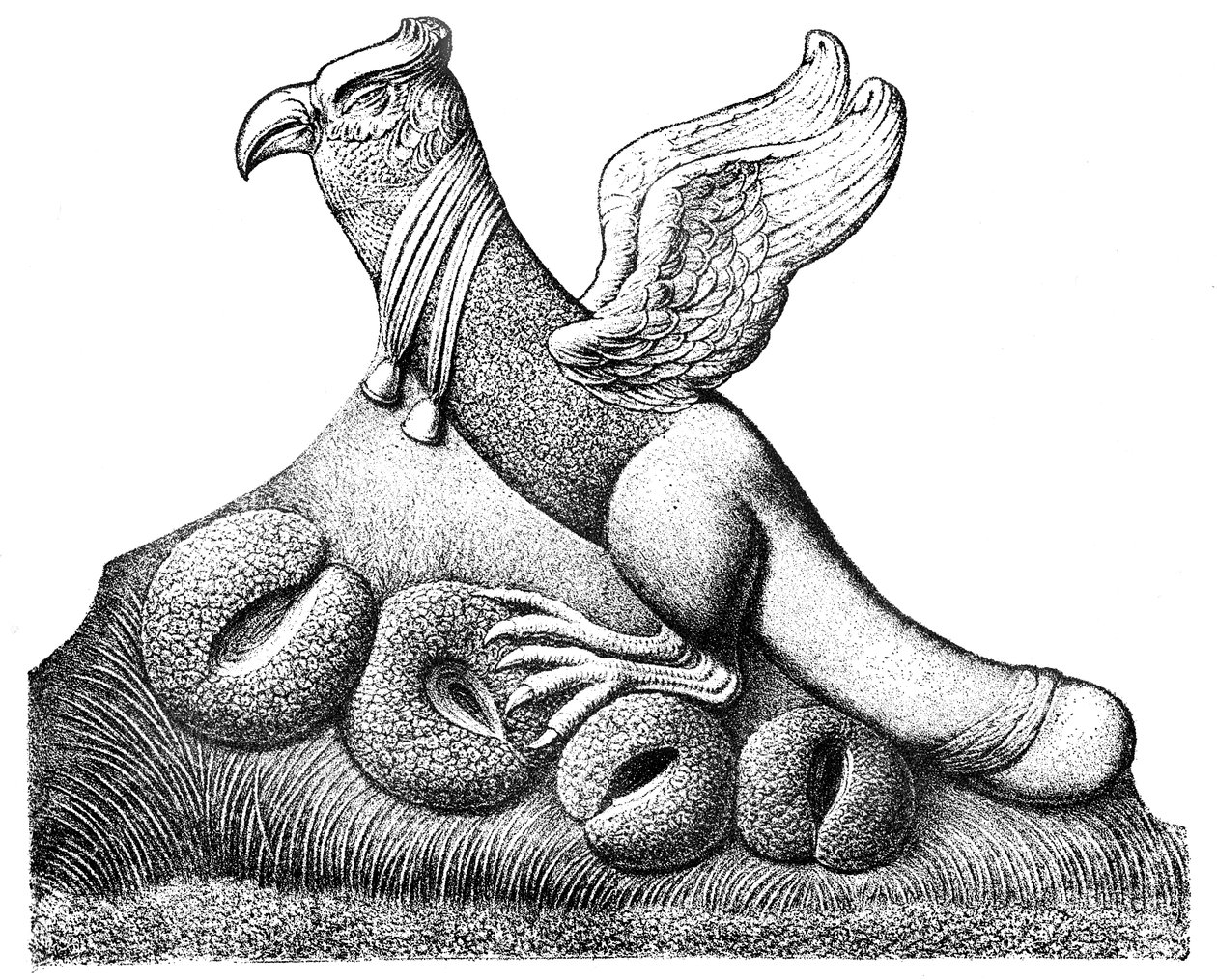 Oiseau aux ailes déployées et à la queue phallique assis sur quatre œufs, sculpture gallo-romaine de Nîmes en France - English School