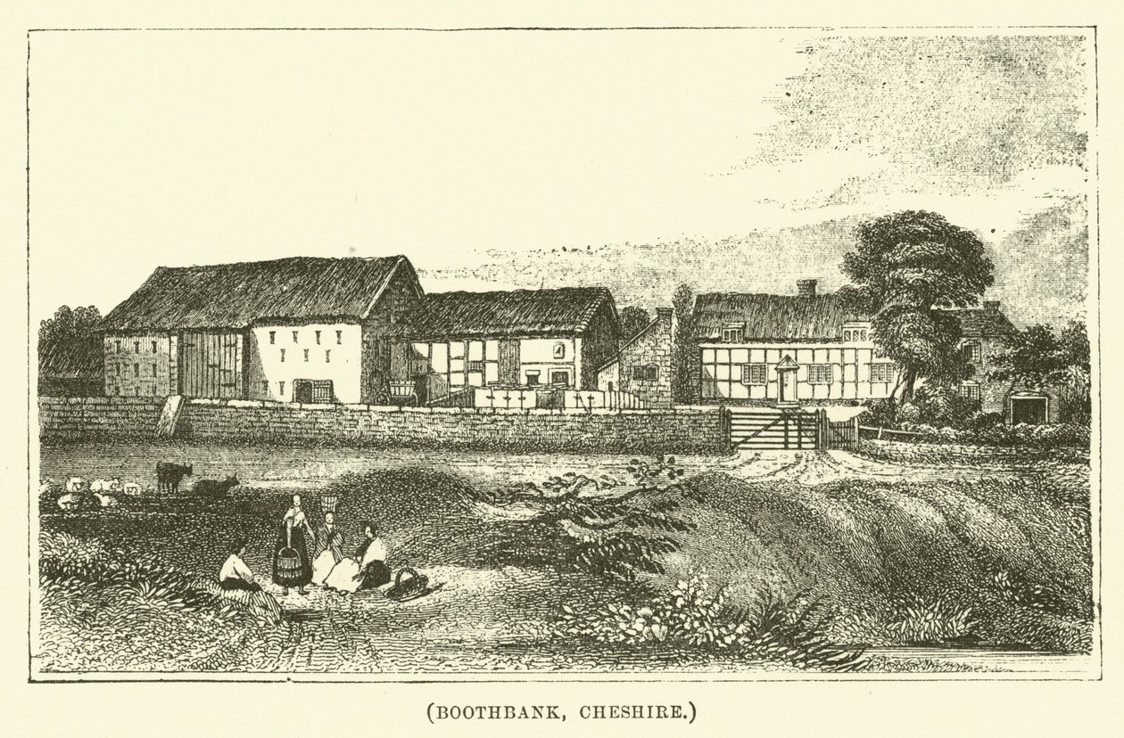 Boothbank, Cheshire (gravure) - English School