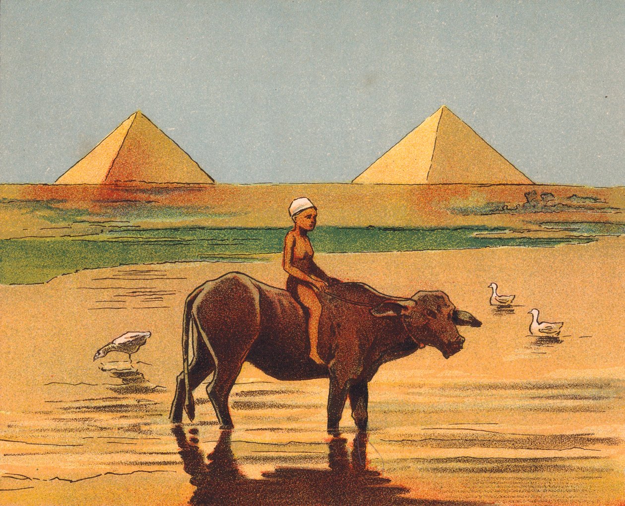 Garçon chevauchant un bœuf devant les pyramides, Egypte (lithographie couleur) - English School