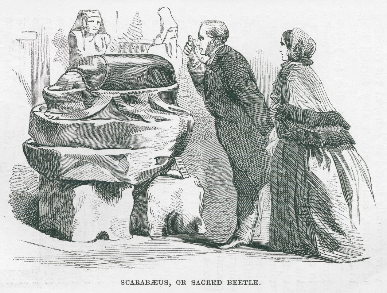 British Museum : Scarabée ou scarabée sacré (gravure) - English School