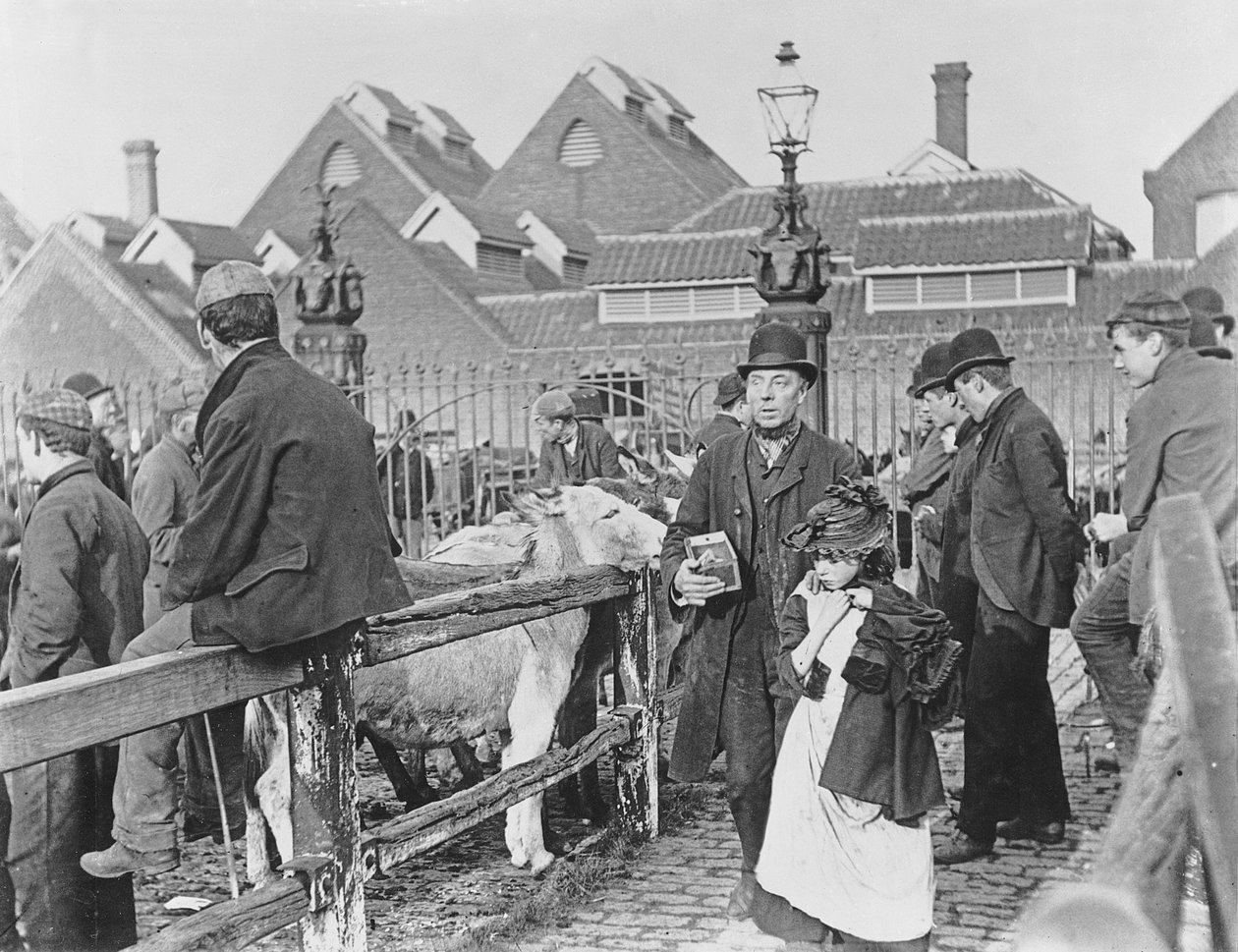 Marché aux bestiaux du village britannique, victorien, 19ème siècle - English School