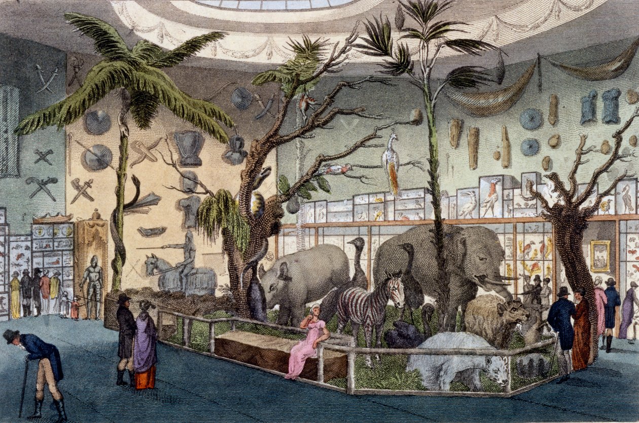 Musée Bullocks, 22 Piccadilly, Londres, d
