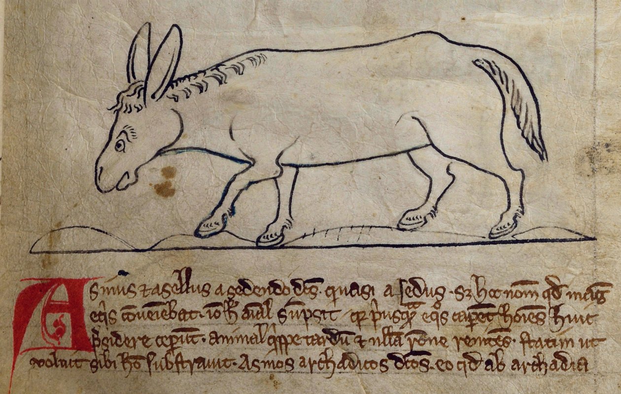 CCA-LitMs/D/10 fol. 10r Âne, du Bestiaire - English School