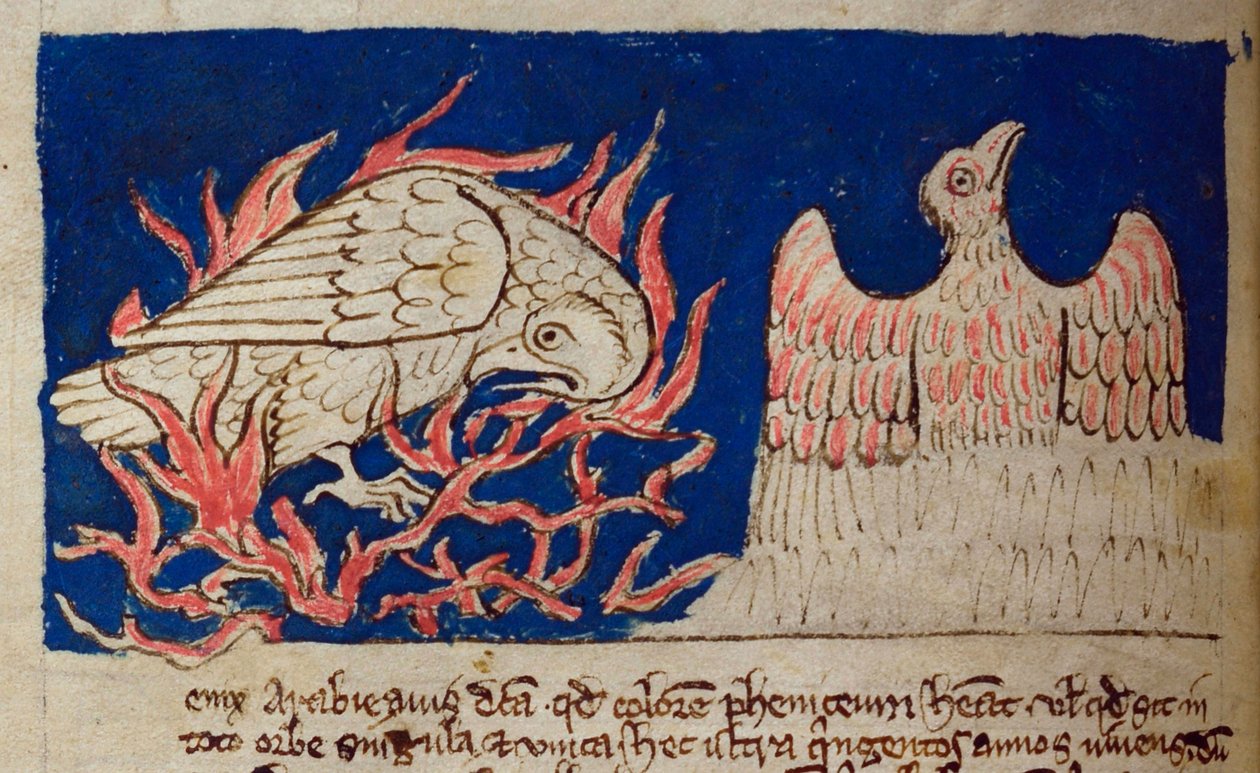 CCA-LitMs/D/10 fol. 17v Phénix, du Bestiaire - English School
