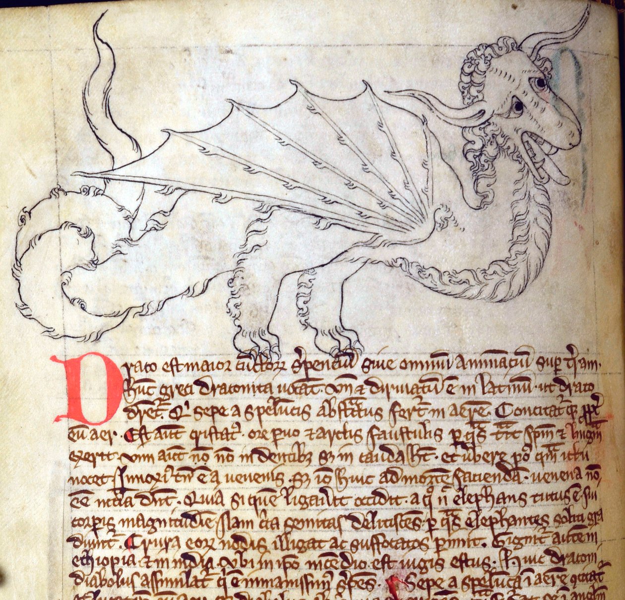 Dragon, du Bestiaire - English School