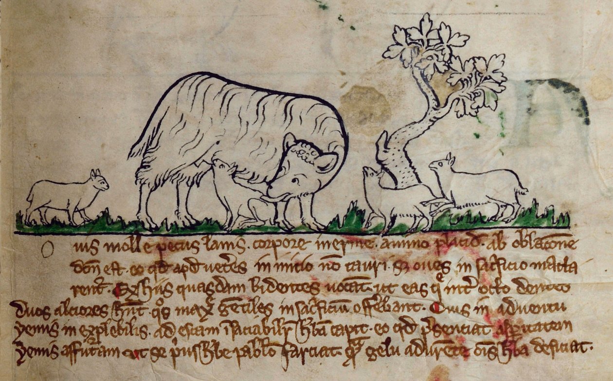 CCA-LitMs/D/10 fol. 8r Mouton, du Bestiaire - English School