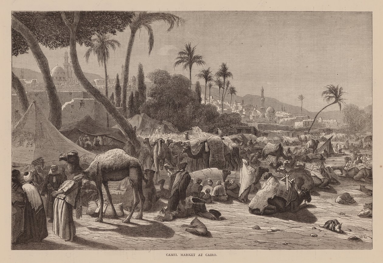 Marché aux chameaux du Caire (gravure) - English School