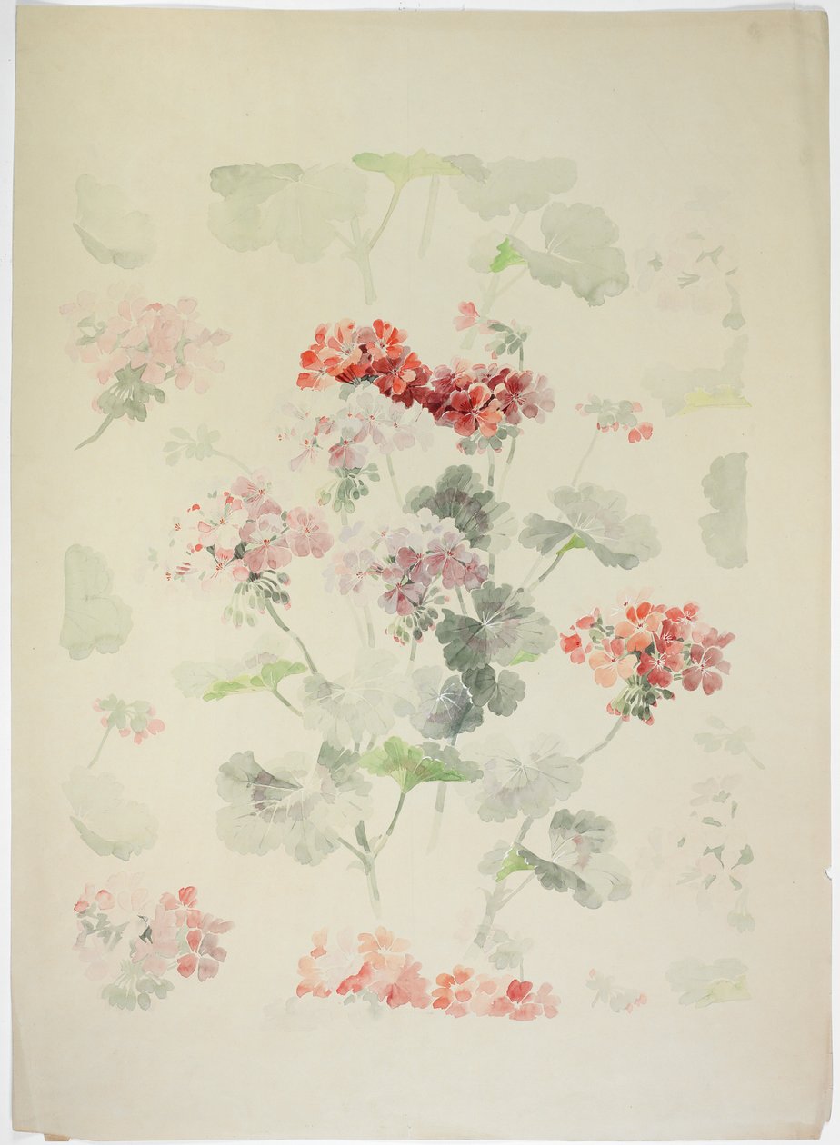 Design de tapis - English School