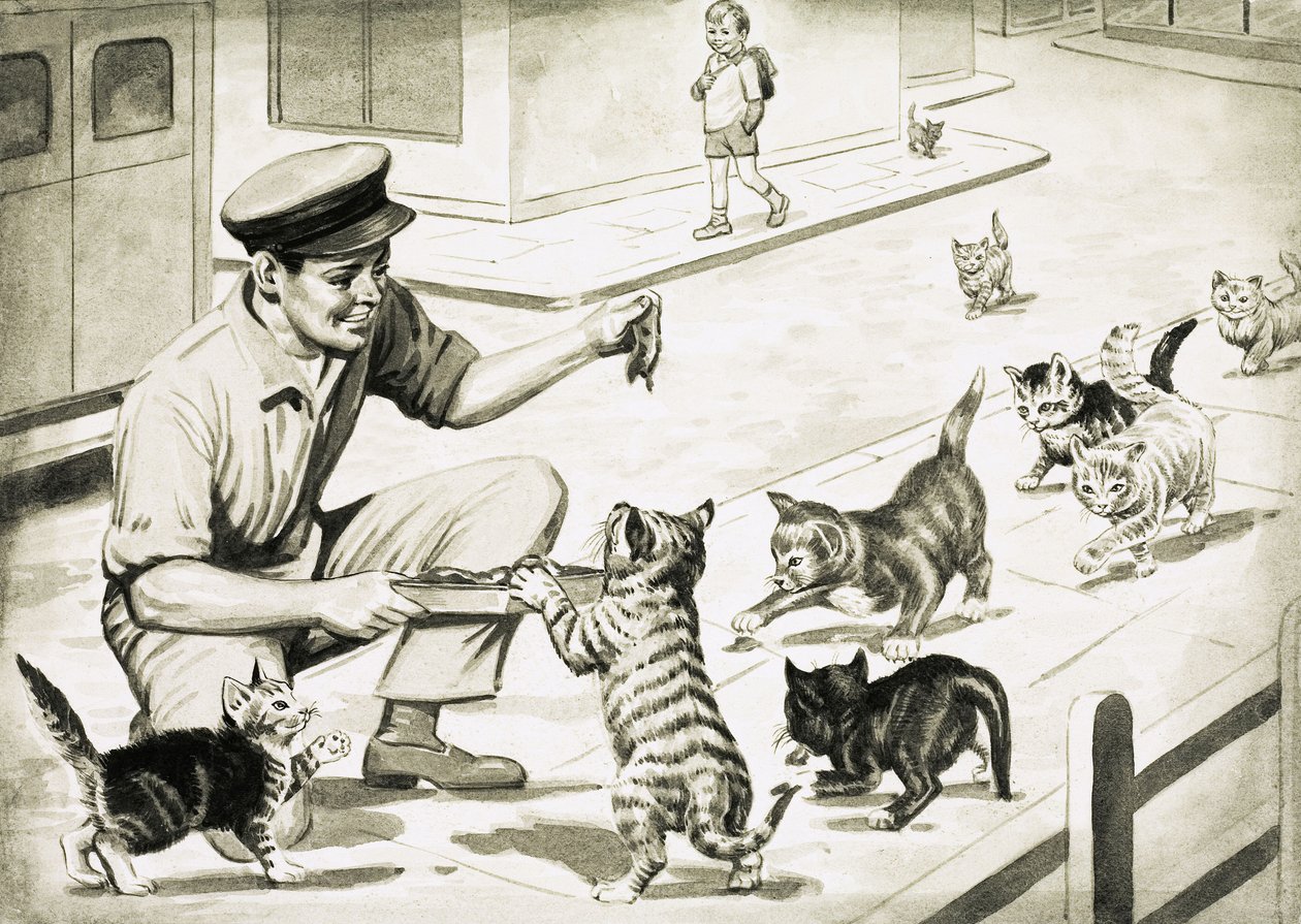 Les chats viennent saluer l