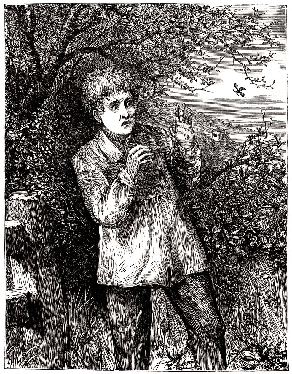 Enfant effrayé par une abeille - illustration, début 20e. - English School