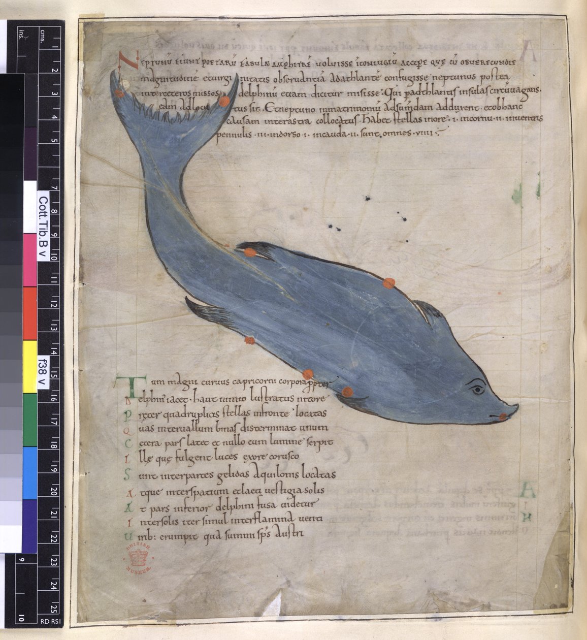 La constellation de Delphinus de 