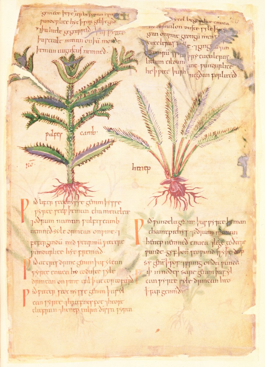 Illustrations des Wulfes Camb et Henep, de 