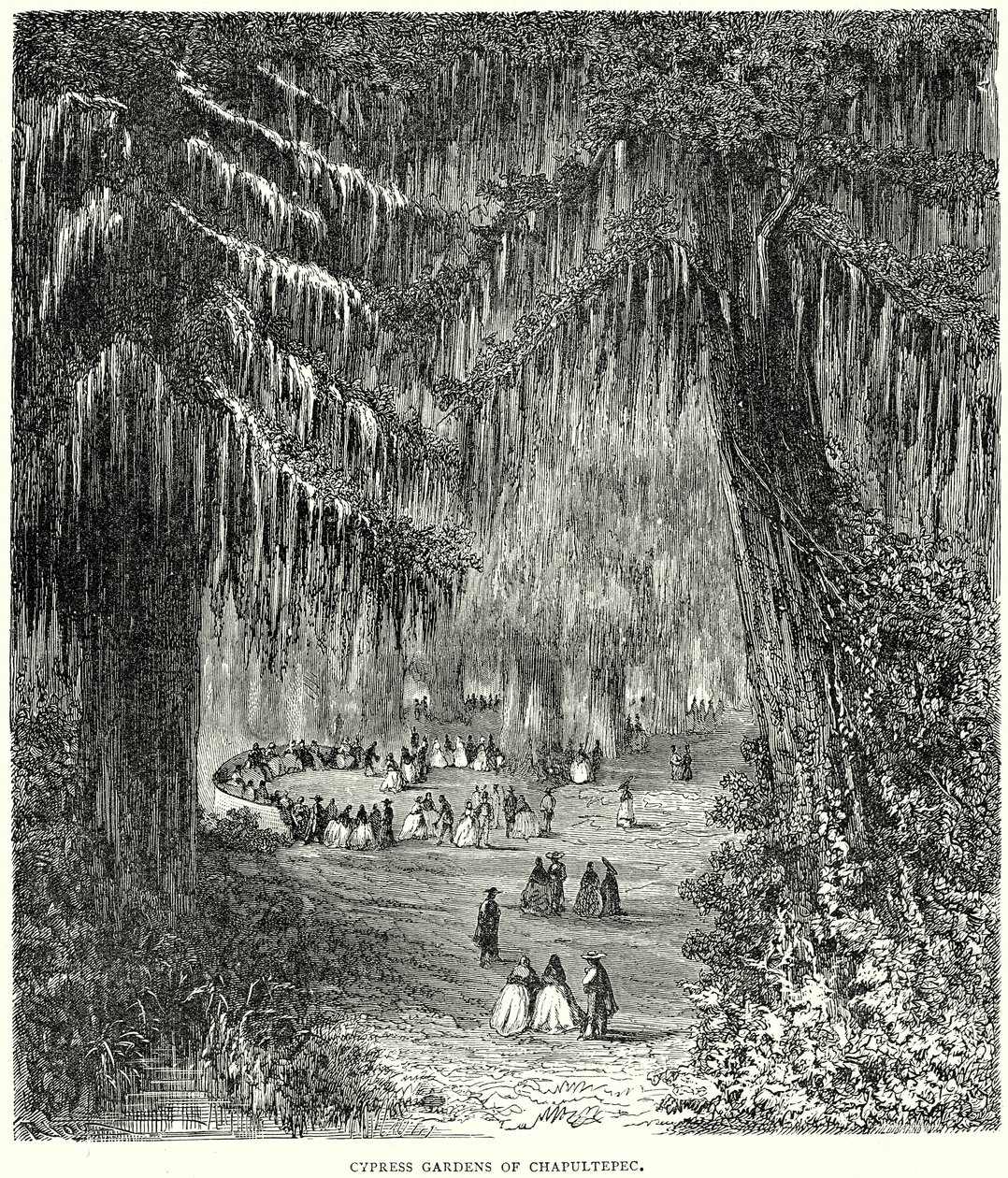 Jardins de cyprès de Chapultepec (gravure) - English School