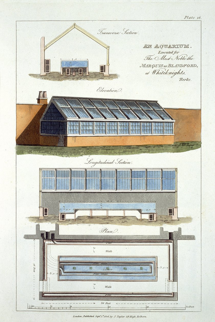 Conception pour un aquarium, exécuté pour le Marquis de Blandford à Whiteknights, 1806 - English School